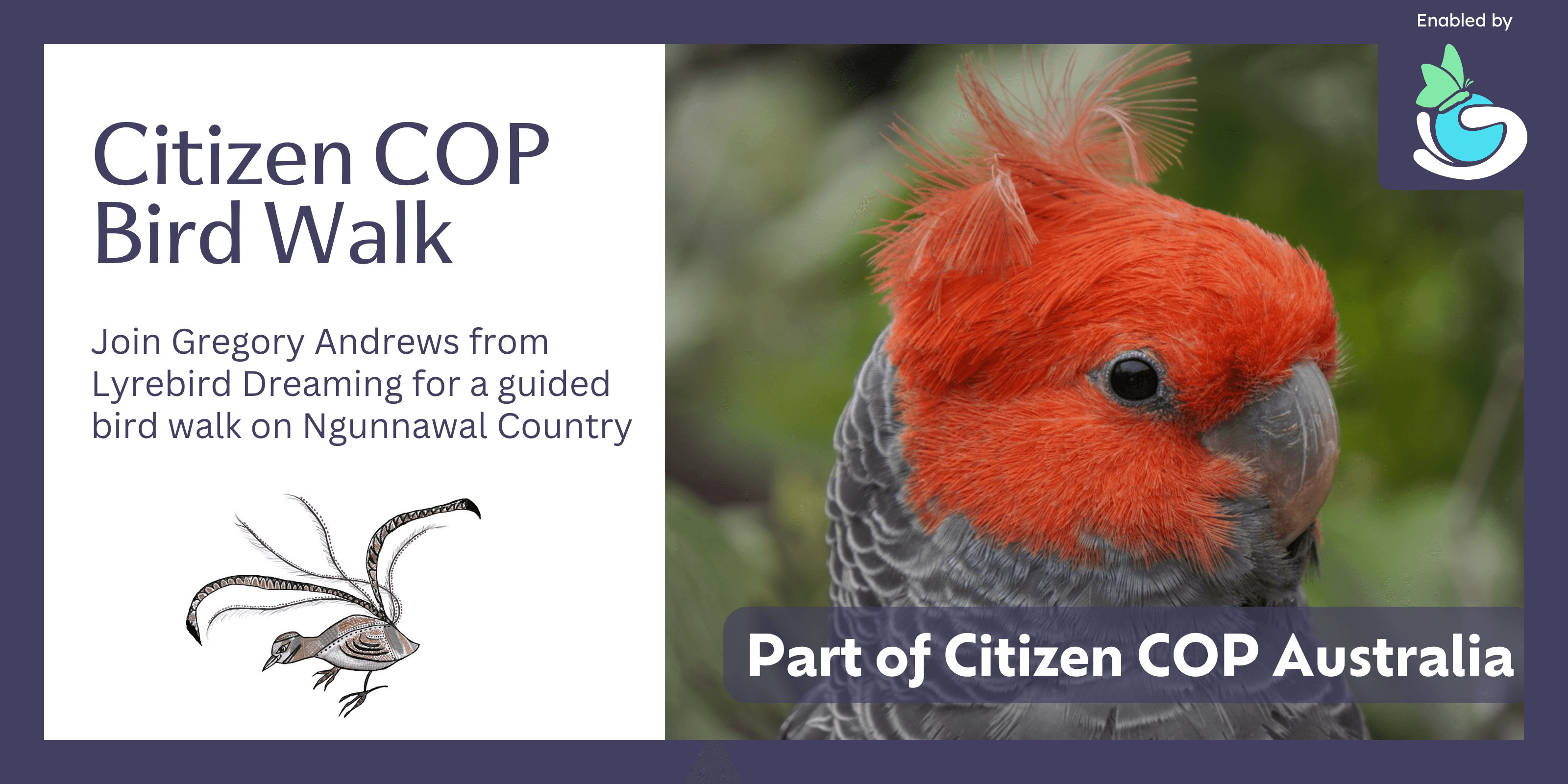 Bird Walk Canberra - Citizen COP 2026