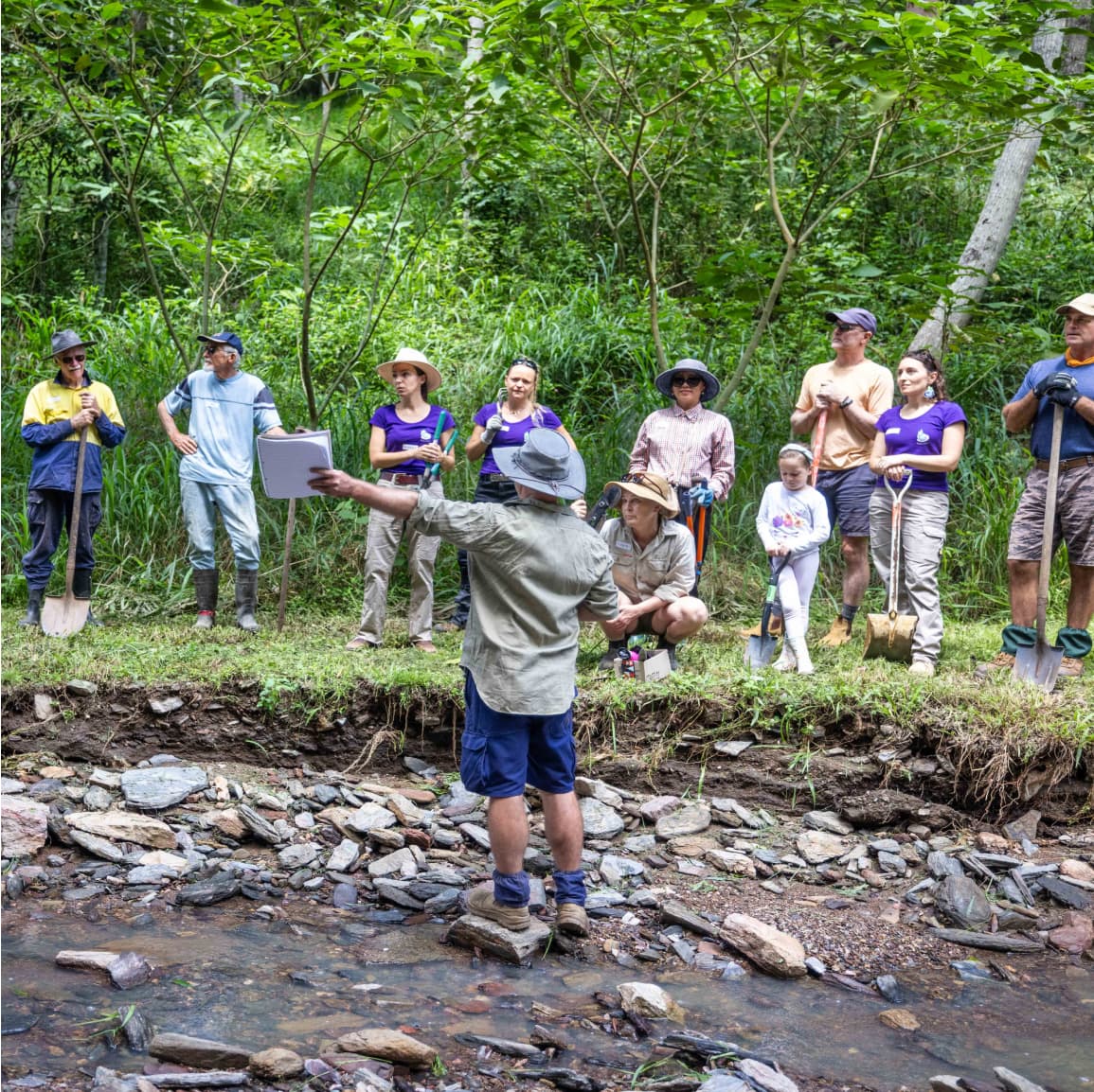 A thriving natural landscape, representing the values that guide our work