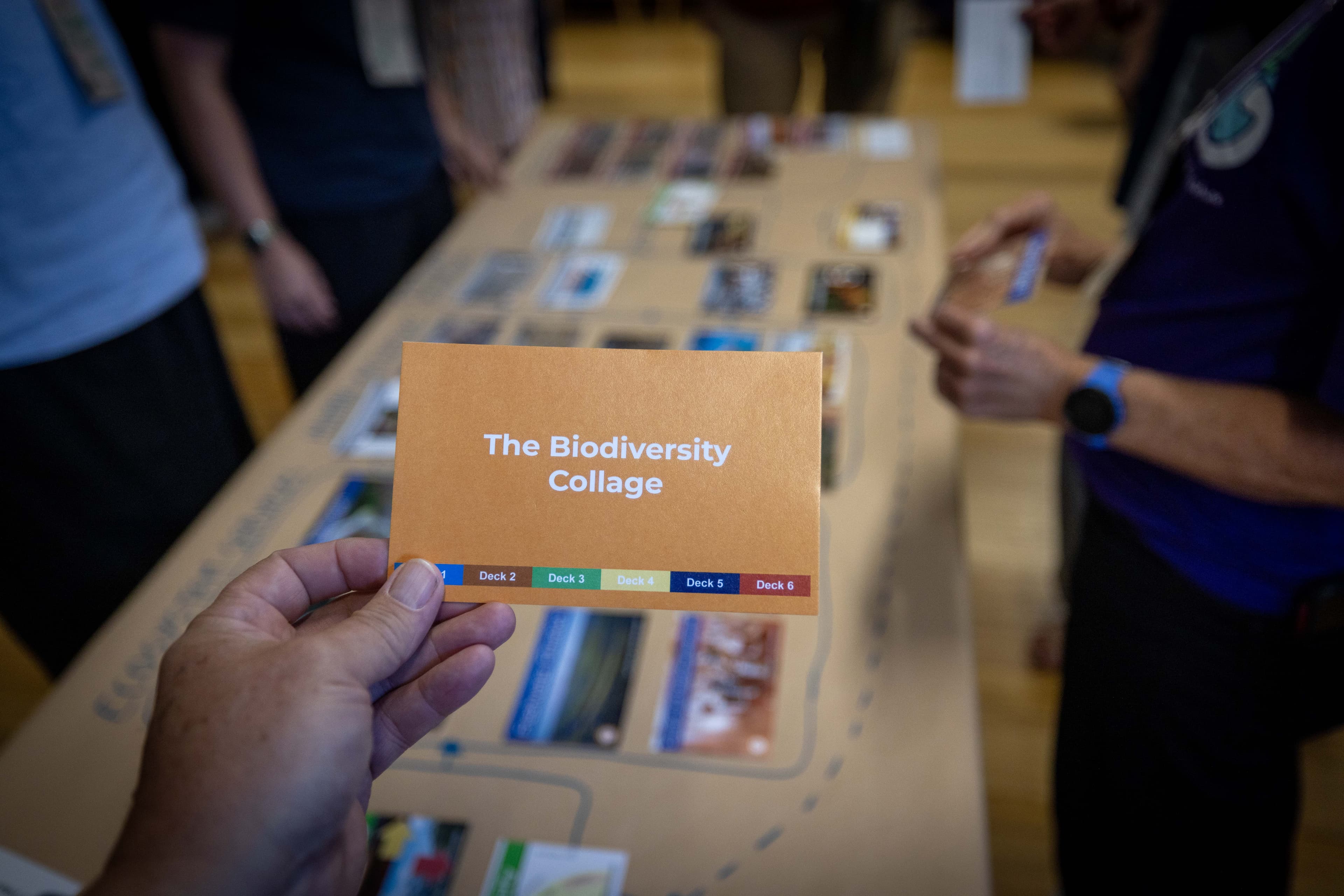Biodiverisity workshop