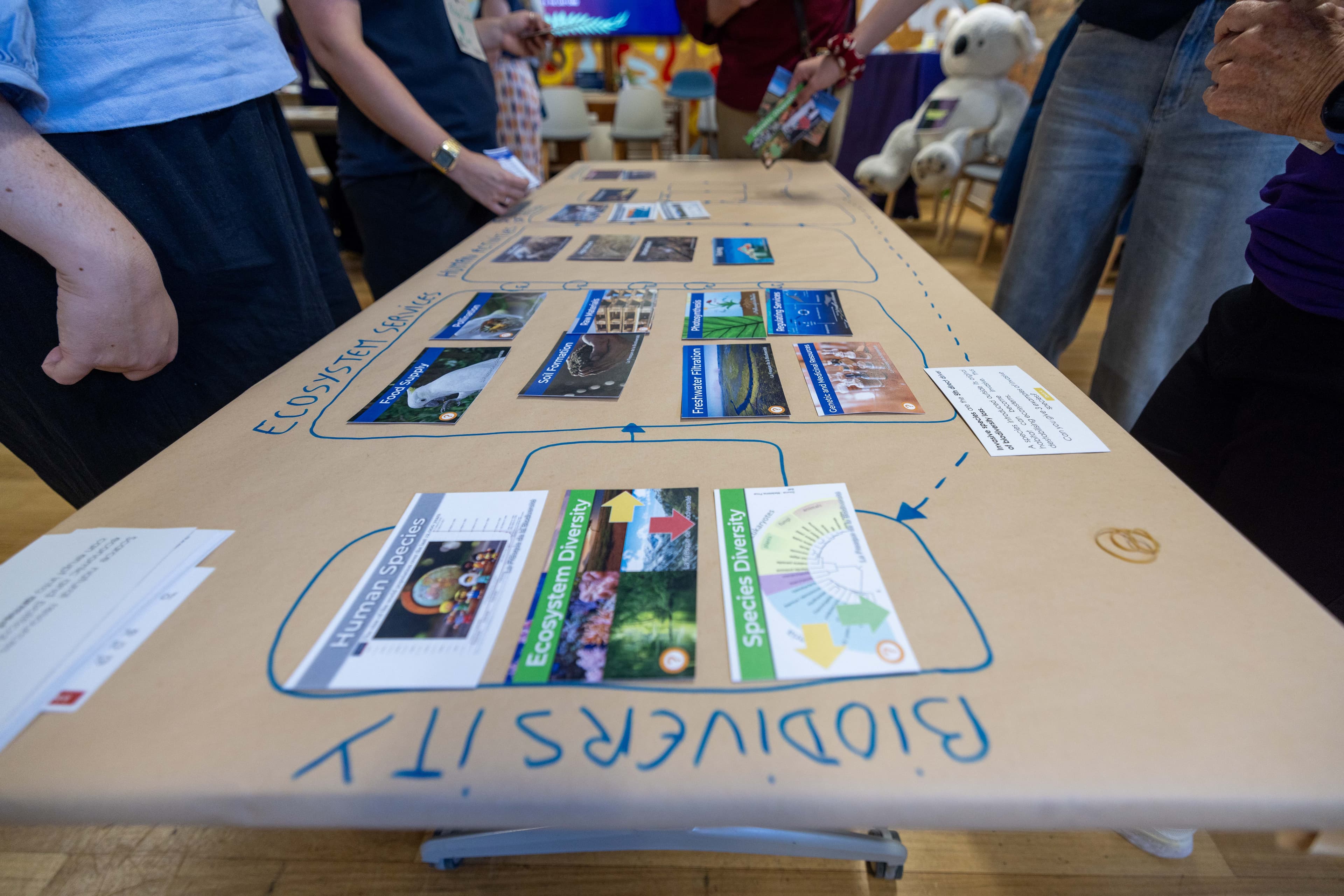 Biodiversity Collage workshop cards on table
