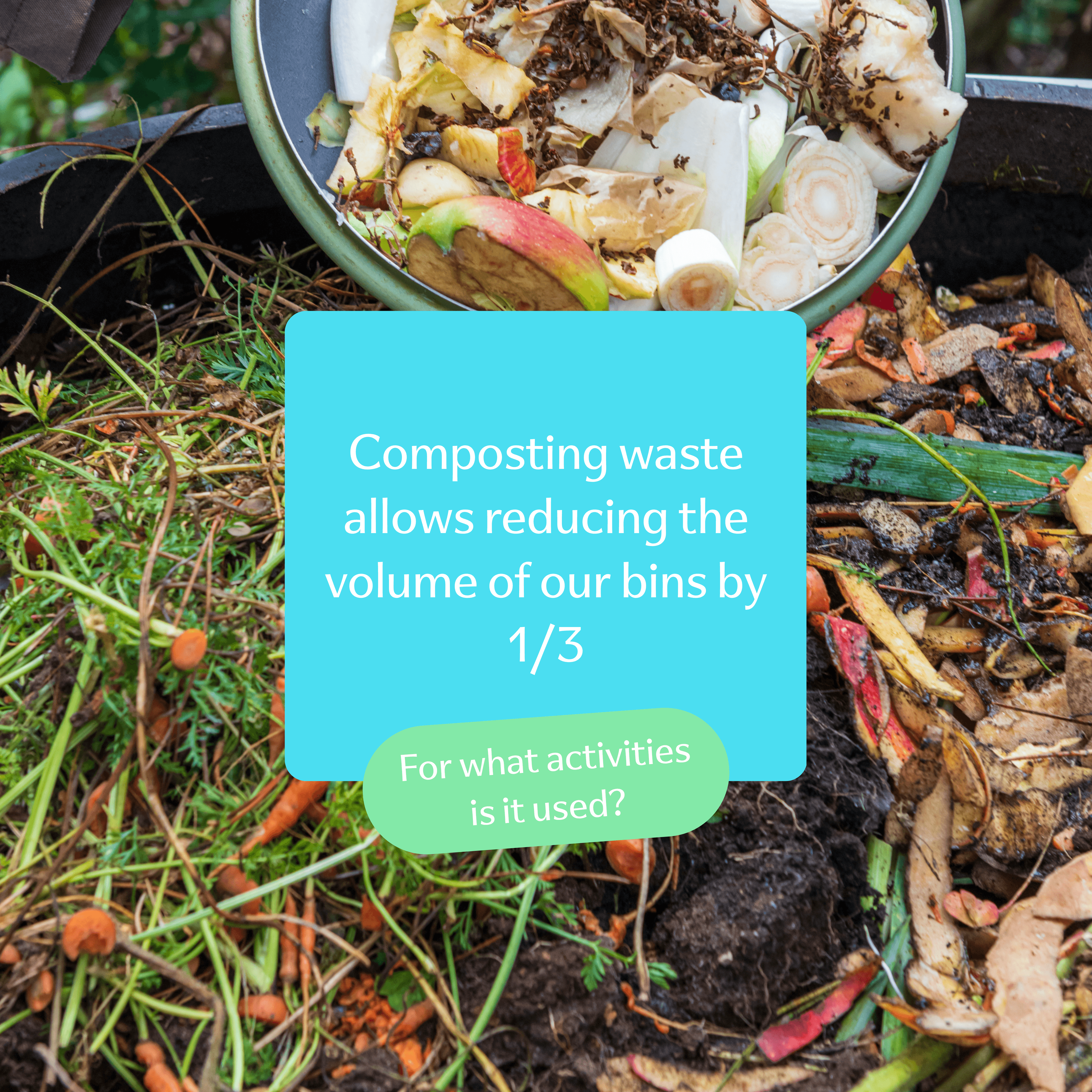 Food waste and vegetables illustrating composting