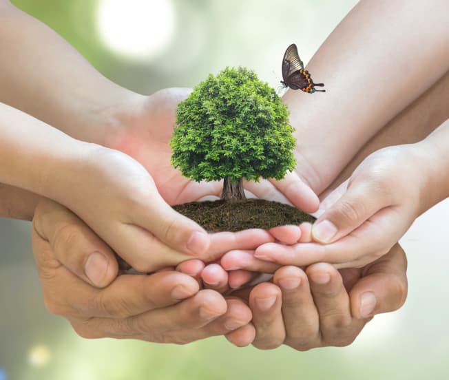 People For Nature donation impact