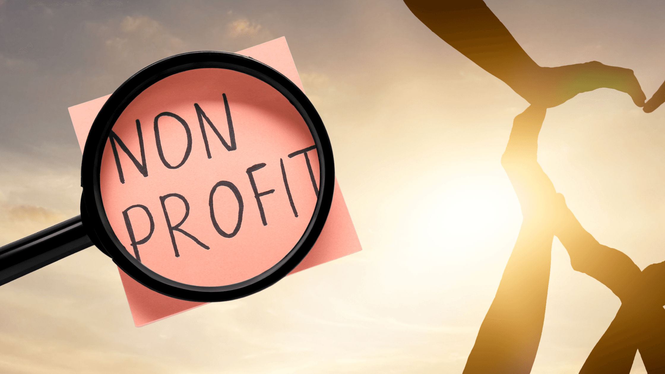 What’s the difference between a not-for-profit and a charity? understanding people for nature’s role