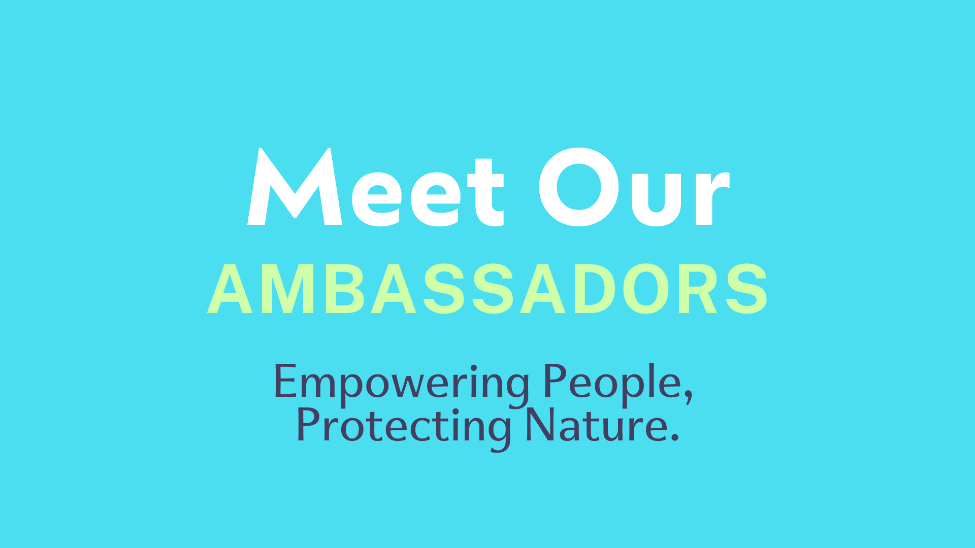 Meet our ambassadors: Tom Foster