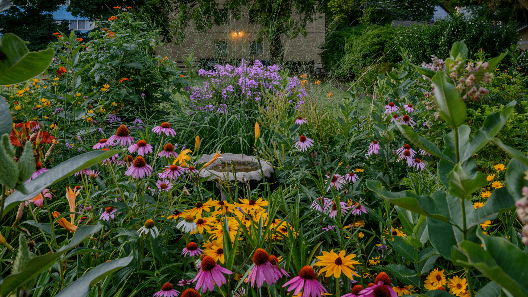 Join the Nature Oasis initiative