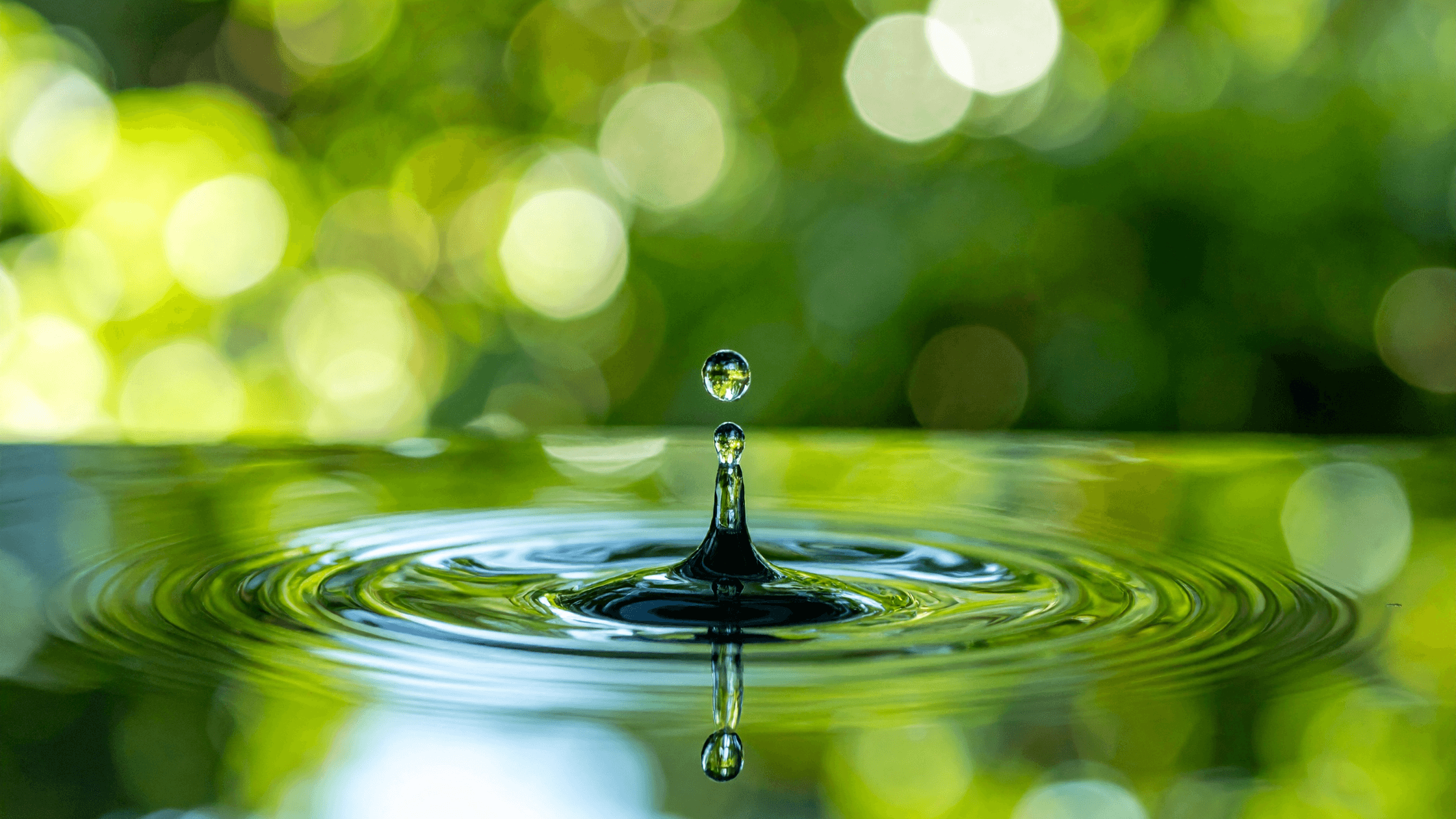 Citizen-Powered Change: The Ripple Effect of Collective Action